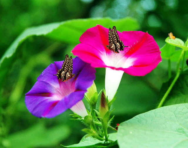 诡影重重触目惊心小说的结尾最终成就背叛与逃离一千种结构的设计亦碎