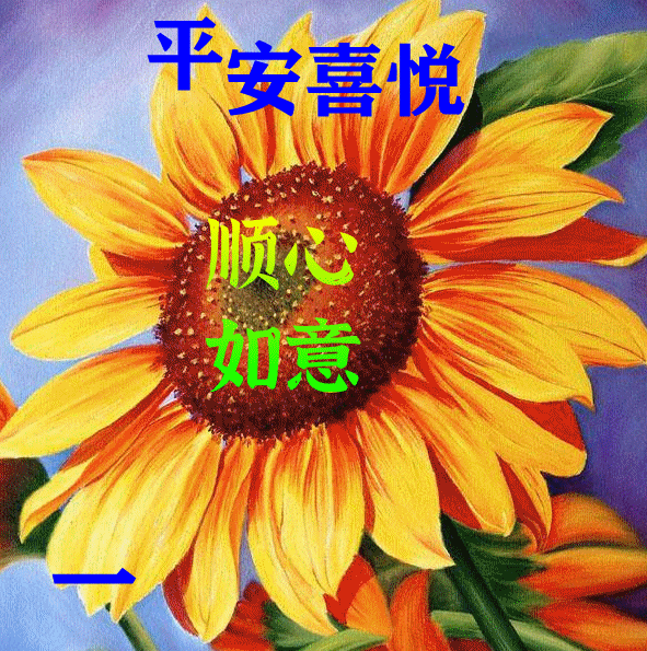 漂亮好看的早上好动态美图鲜花带字,早晨好幸福暖心的
