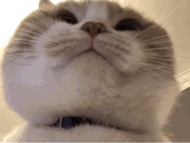 640_480gif 动态图 动图