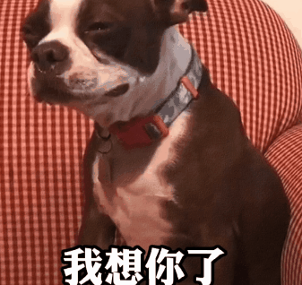 表情包:忙完 记得找我