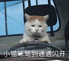 微信可爱沙雕表情包|大师 我悟了