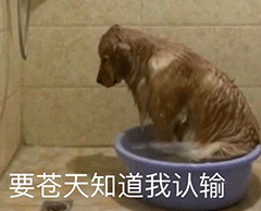 微信可爱沙雕表情包|大师 我悟了