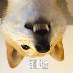 微信可爱沙雕表情包|大师 我悟了
