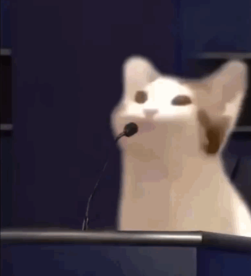 猫猫头表情包
