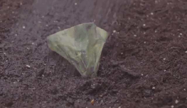 不承想两个人默默