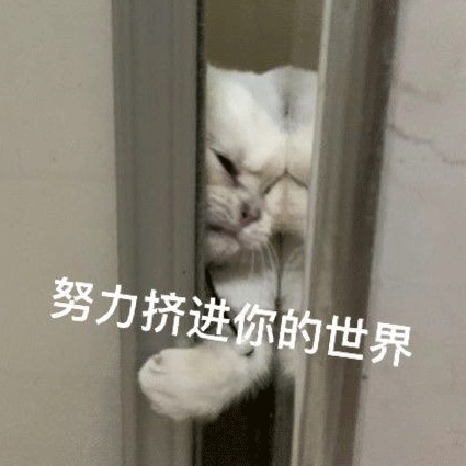 45个聊天沙雕表情包,用来斗图好快乐