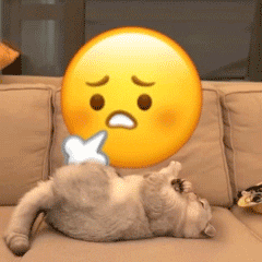 可爱有趣的表情包