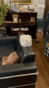 203_360gif 动态图 动图