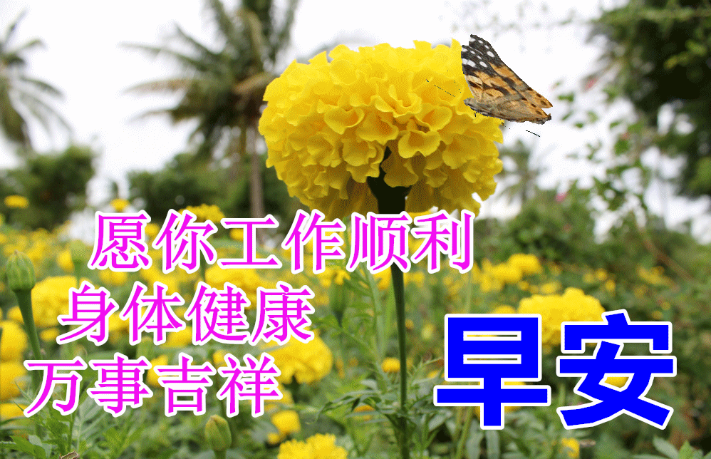2021年新版冬天问候早上好动态祝福图片,问候朋友冬季早安的祝福句子