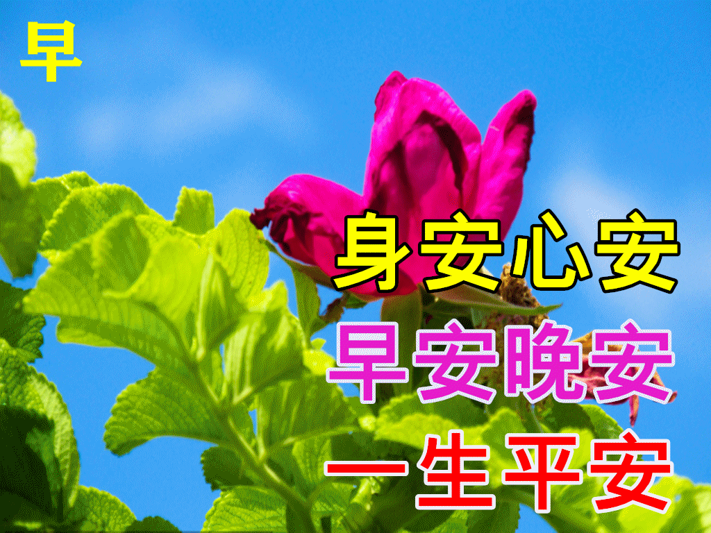 10月21日最漂亮早上好动态表情图片大全,秋天早安问候