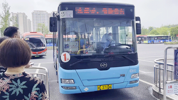 不好意思1路公交车一直都很火