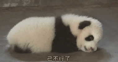 380_200gif 动态图 动图