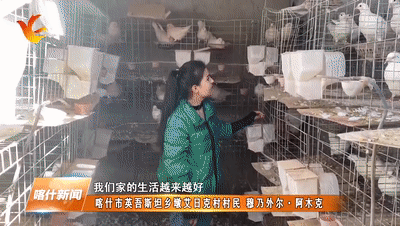 乡村振兴之路醉美喀什谱新篇乡村巨变奏强音
