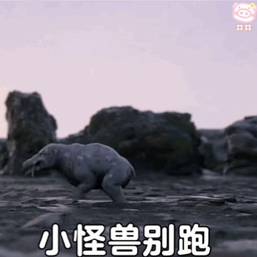网上很火的动态表情包，网上很火的动态表情包下载