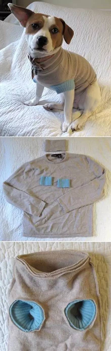 天冷了旧衣服稍微改造做成狗狗的衣服