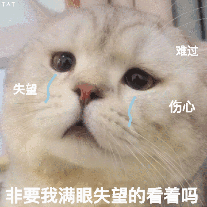 适合情侣的可爱表情包:人家就想粘着你!