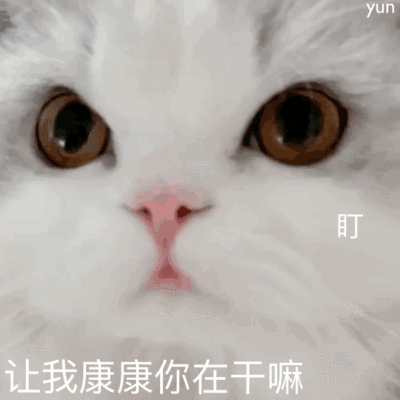 超可爱的萌宠表情包:对不起我是保安