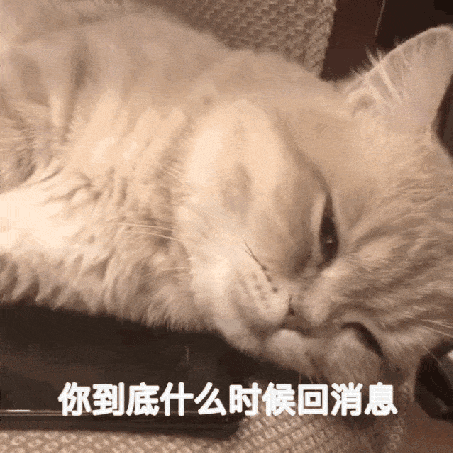 素材来源于网络,侵删致歉;欢迎大家评论,点赞,关注!谢谢大家的支持!