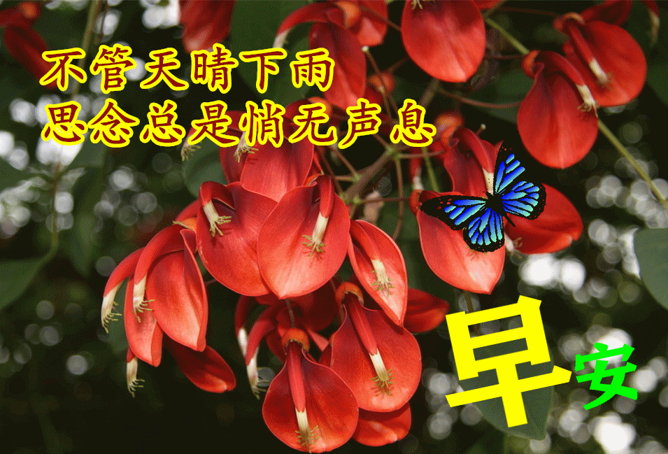 2021特阳光暖心的早安漂亮祝福动态美图温馨早安问候语图片