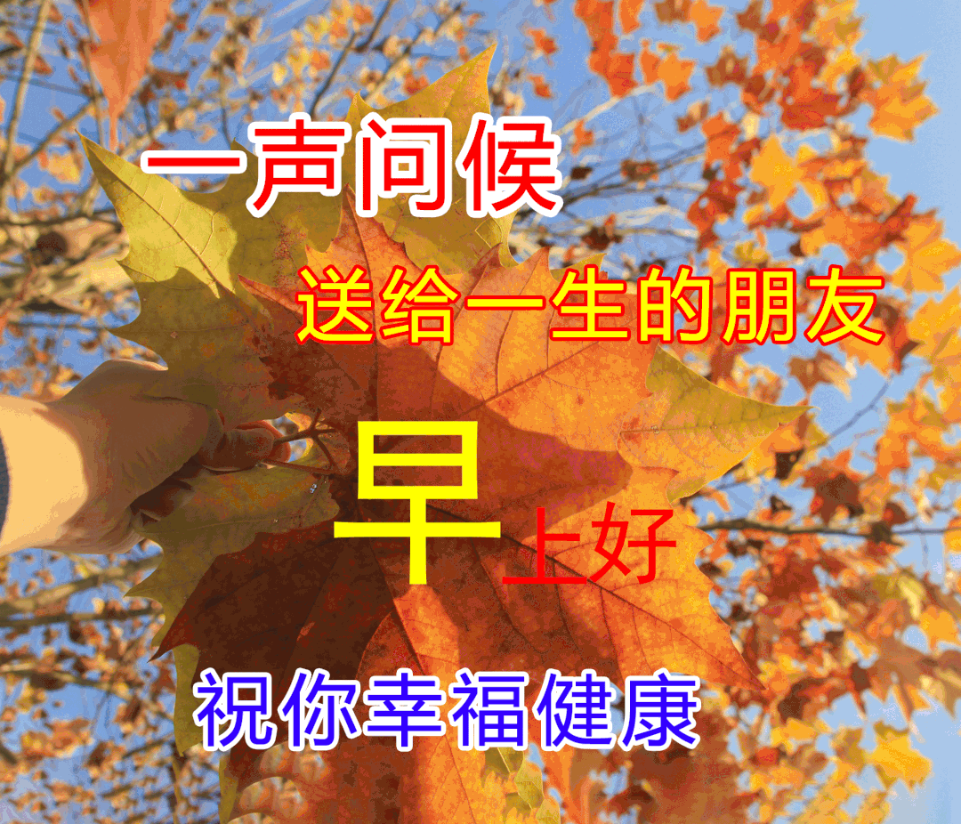 11月19日早安祝福