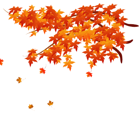 autumn落叶逐流两岸枫秋山映霞一川红