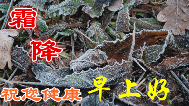 2021年霜降早安暖心祝福语短信很漂亮的霜降早安图片动态美图