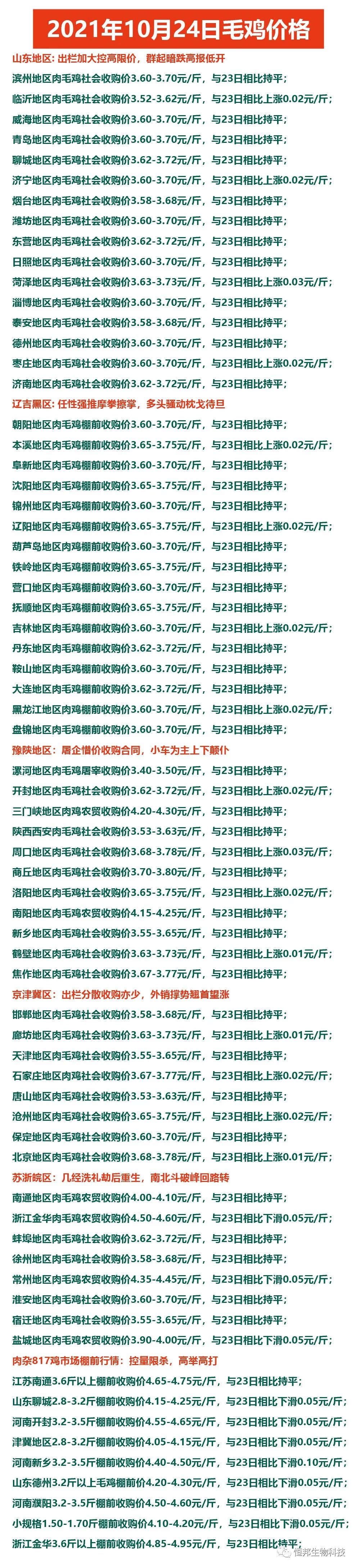 2021年10月24日鸡价格行情