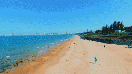 500_282gif 动态图 动图