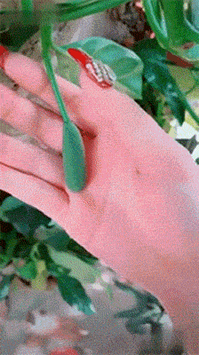 由小变大01gif趣图,爆笑回复!搞笑段子,八卦趣闻,乳红色的粉头