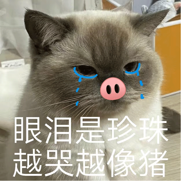 表情包妈没钱啦