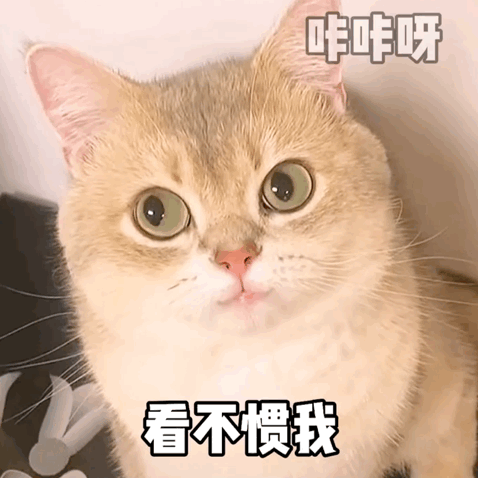 最近很火的沙雕表情包