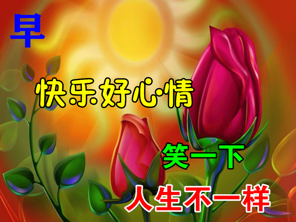 11月24日最漂亮早上好动态表情图片大全,早安问候美图