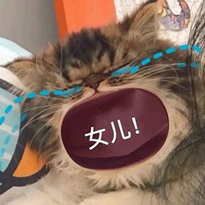 猫咪跟妈妈要生活费表情包丨最近超火的,谁还不是个宝宝了