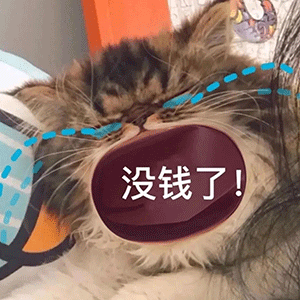 猫咪跟妈妈要生活费表情包丨最近超火的谁还不是个宝宝了
