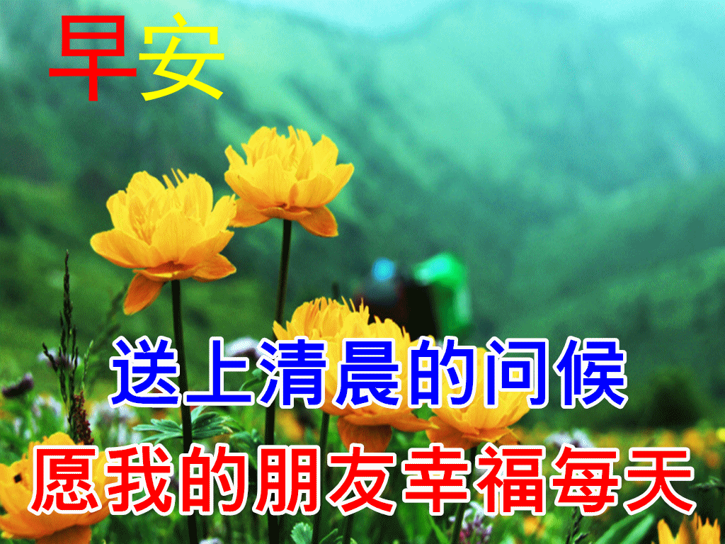 【早安祝福美图 早上好问候句子】