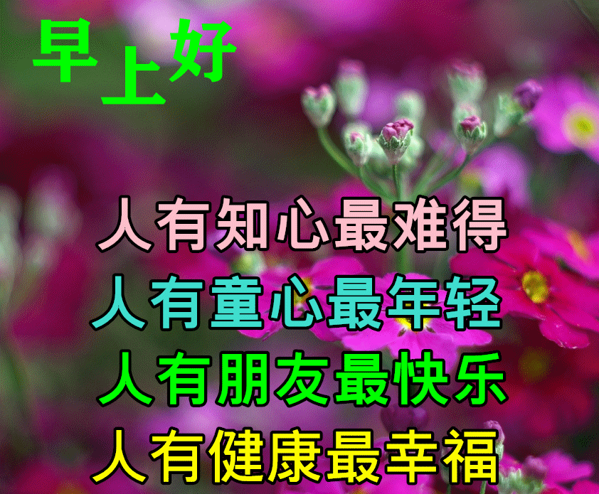 【早安祝福美图 早上好问候句子】