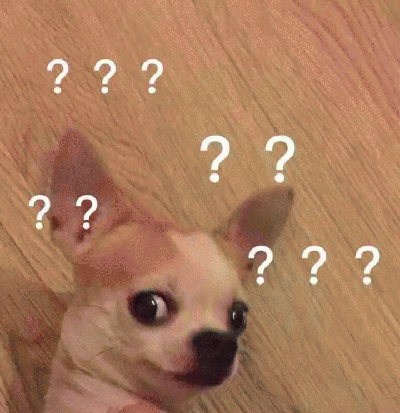 很可爱很沙雕的狗狗专属表情包