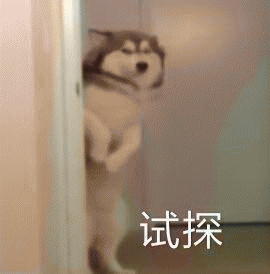 很可爱很沙雕的狗狗专属表情包