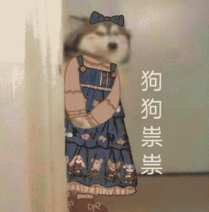很可爱很沙雕的狗狗专属表情包