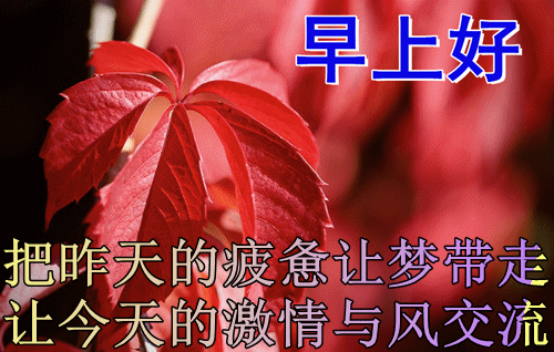 10月30日 最新早上好问候动态表情图片 暖心早上好
