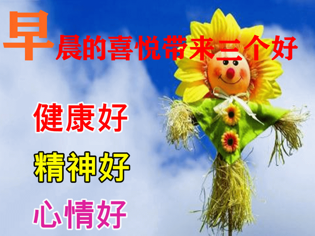 早上好鲜花漂亮问候图片表情大全清晨早安温馨问候语