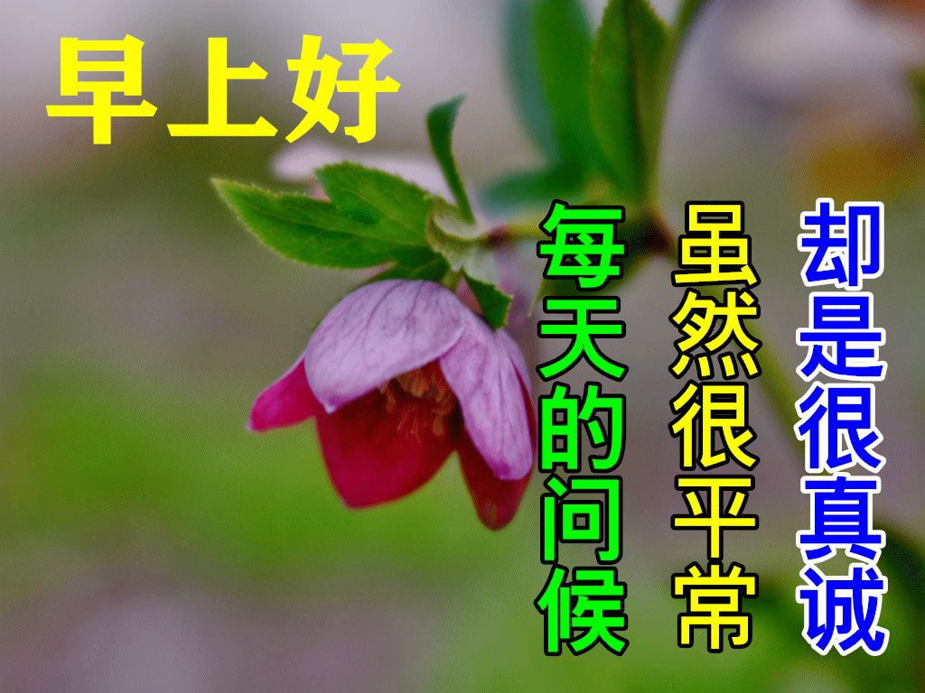 秋天暖心的清晨早上好祝福动态图片带字 早安问候语正