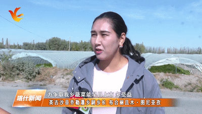 乡村振兴之路果蔬飘香金秋时节丰收忙
