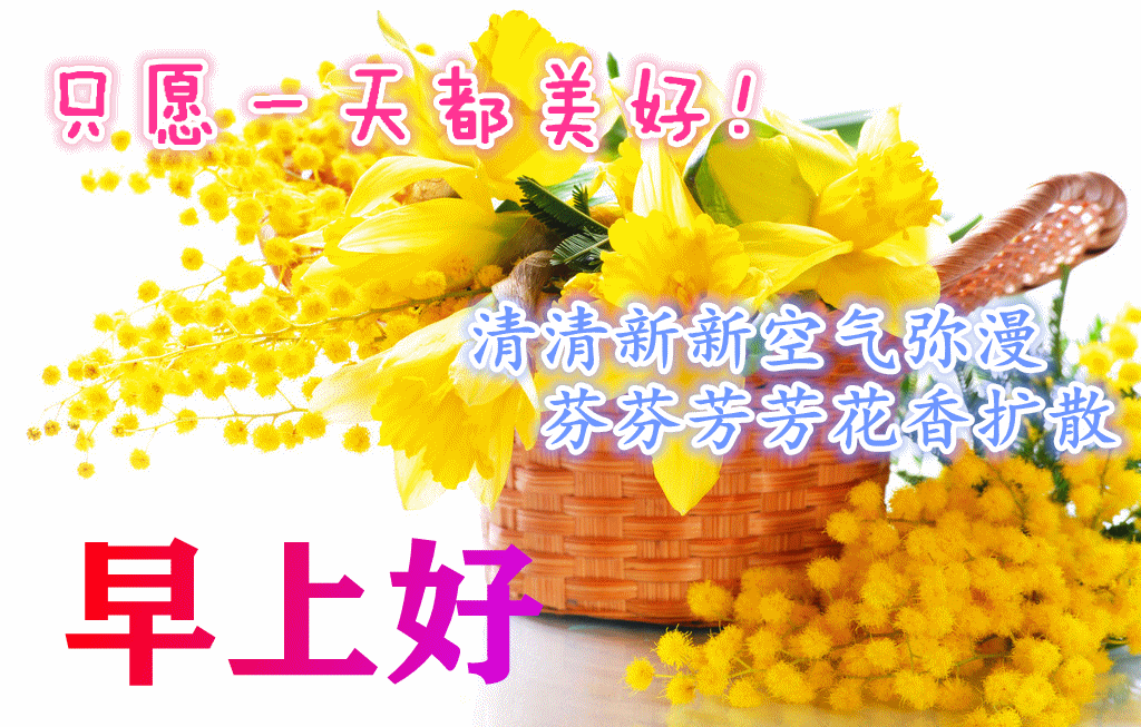 2021年11月2日早安微信问候语祝福精选,早上好问候祝福短信