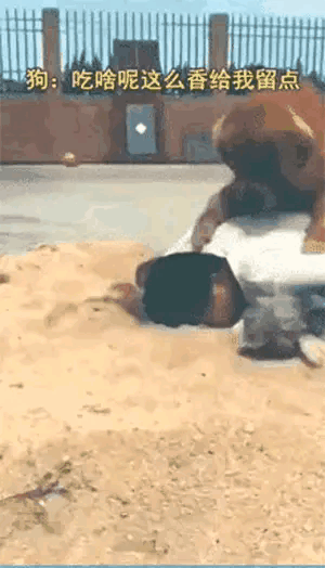 搞笑图片:千万不要让男生帮忙挑泳衣,这谁扛得住啊!