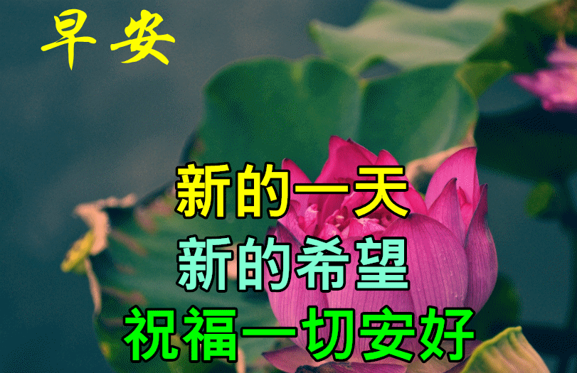 愿你烦恼莫沾,幸福无边,亲爱的朋友,早安!