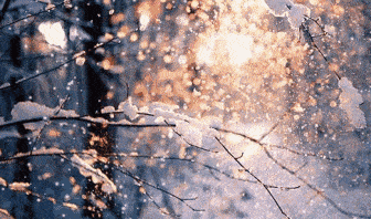 水始冰地始冻冬天第一个节气立冬即将到来这些知识可以讲给孩子听