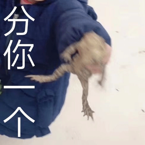 表情包难以置信