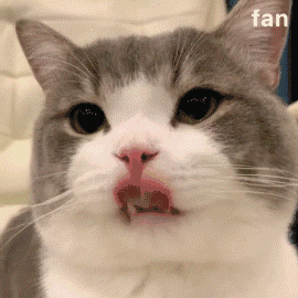 可爱沙雕的qq聊天表情包