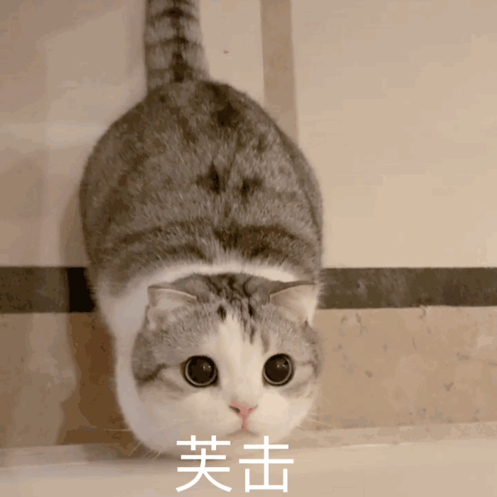 可爱沙雕的qq聊天表情包